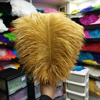 

Wholesale beautiful Gold colored ostrich feathers 300 pieces 16-18 inch / 40-45 cm free shipping