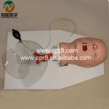 

BIX-J50 Airway Training Model,Trachea Intubation Training Model WBW174