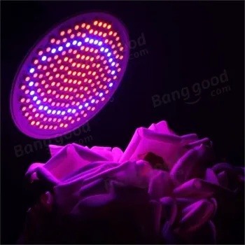 

[Seven Neon]E27 2W AC85-265V 166Red:34Blue Led Grow Light High Power for Flowering Plant&Hydroponics Plant Grow Lamp