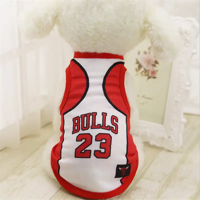 jordan dog jersey