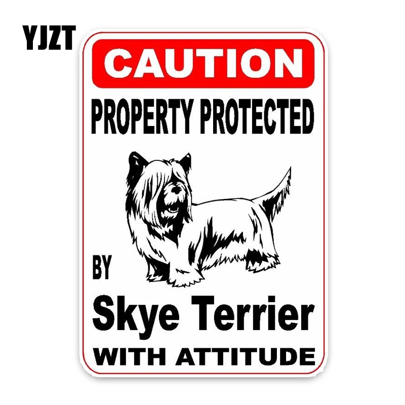 YJZT 10*14 2 см собственность защищенная Skye Terrier Dog креативная модная Автомобильная