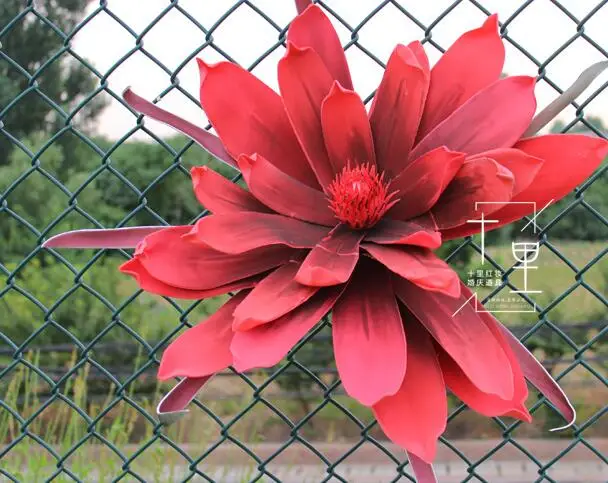 QQ20190124124902