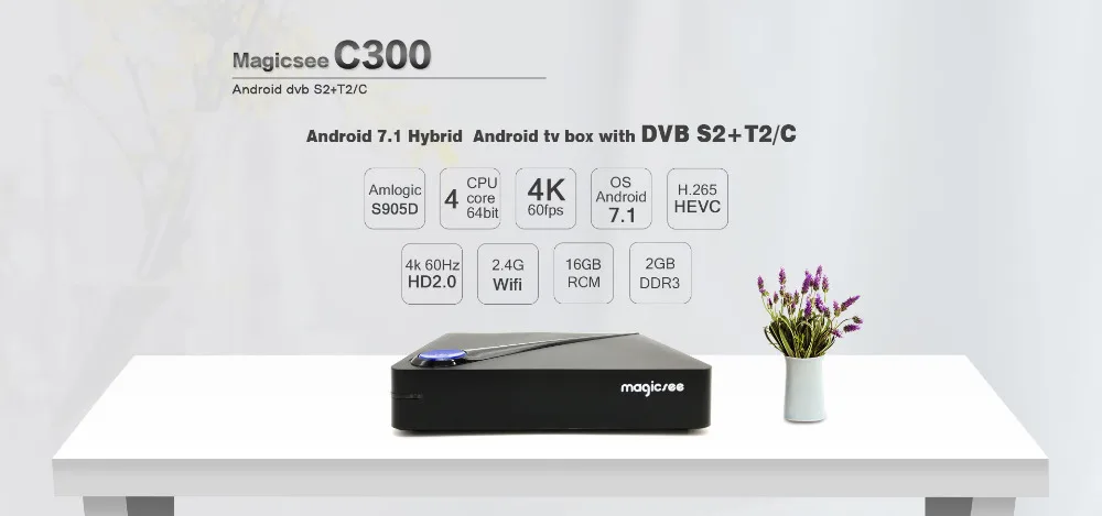 C300_01