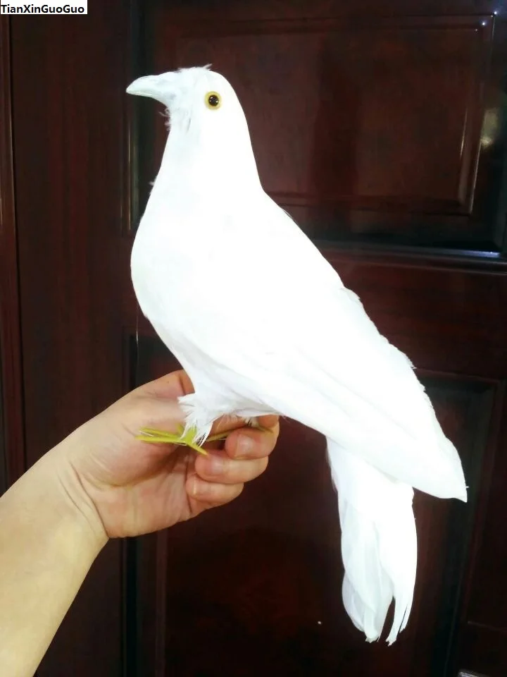 large 30x20cm white feathers peace bird simulation dove hard model home garden decoration gift s1423 | Игрушки и хобби