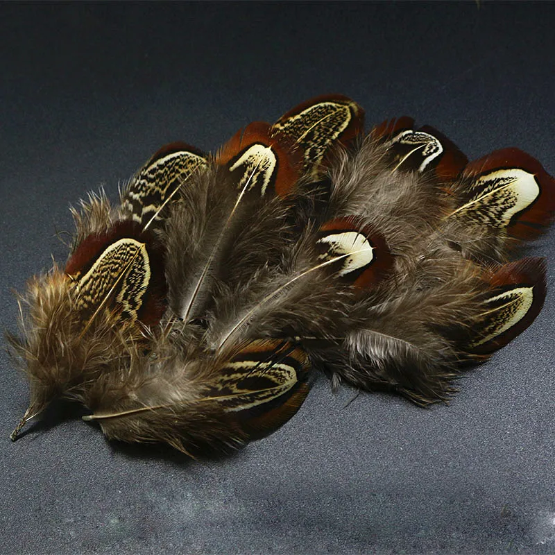 HOT 1set natural ringneck pheasant feathers assorted ringneck