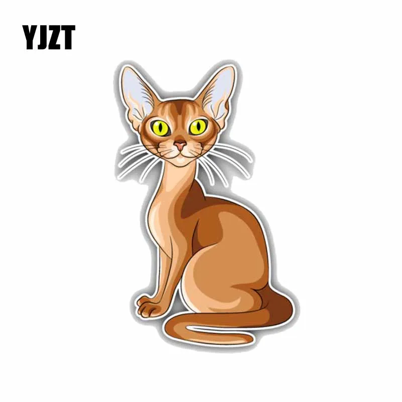 

YJZT 8.8*14CM Abyssinian Breed Cat Kids Car Decoration Car Sticker C1-4263
