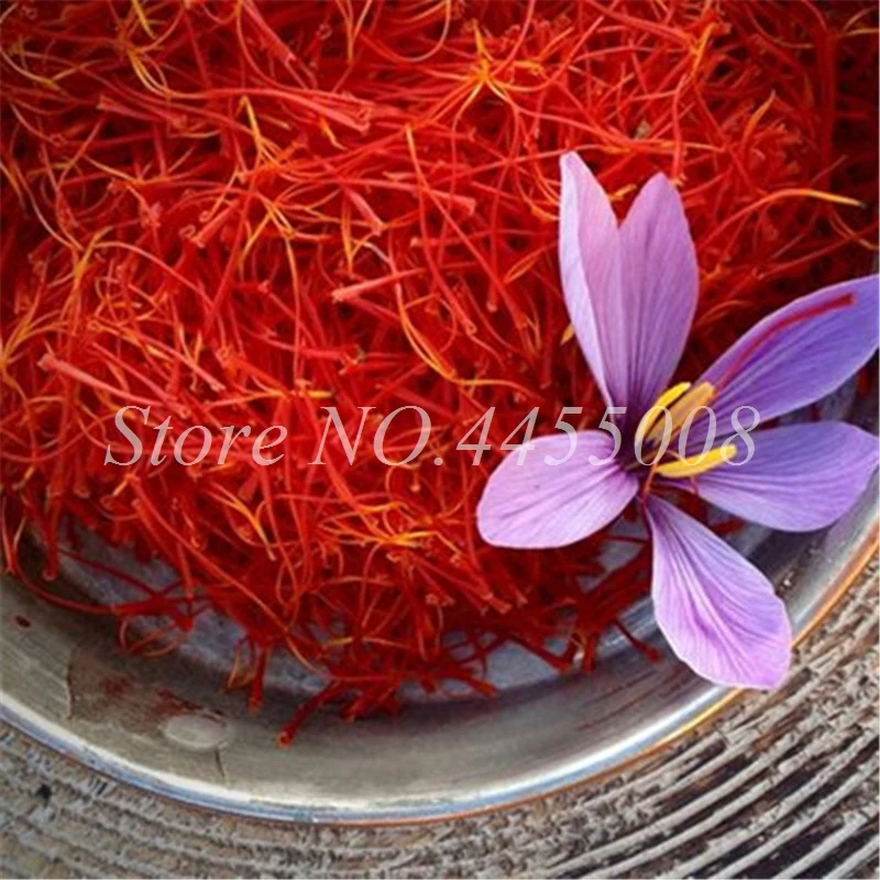 1000 Pcs/ Bag Imported Saffron Bonsai(Not Crocus Saffron Bulb) Outdoor Flower Iran Saffron Potted Plant For Home Garden Planting