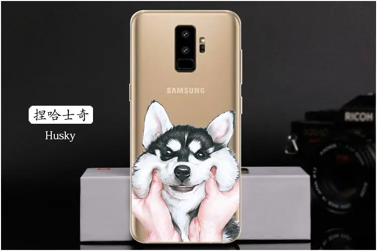  Husky