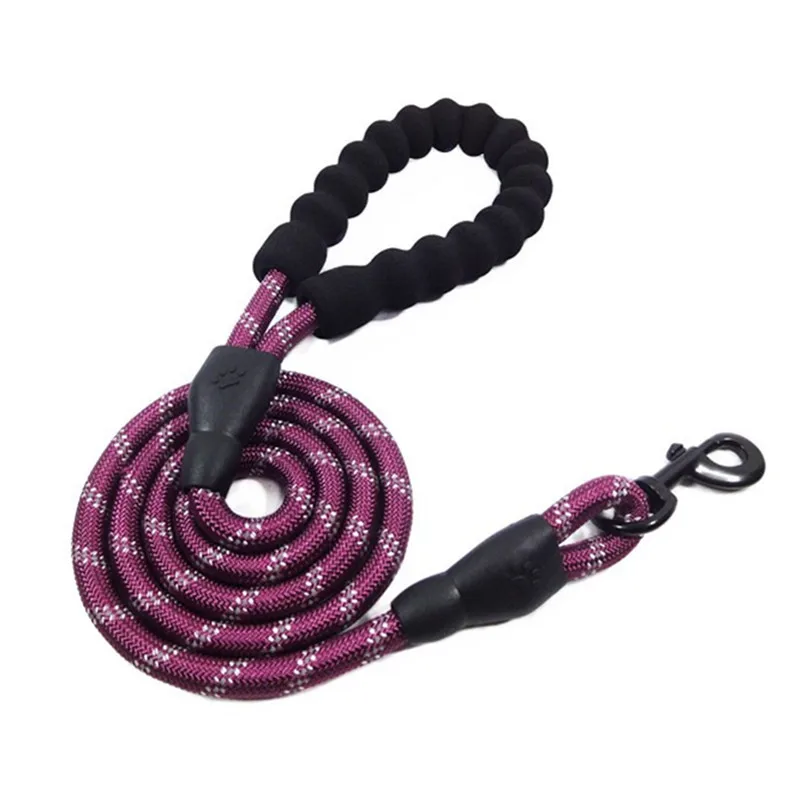 dog leash purple 