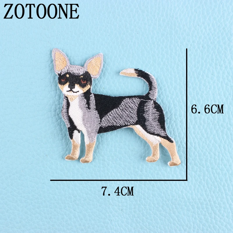 dog clothes