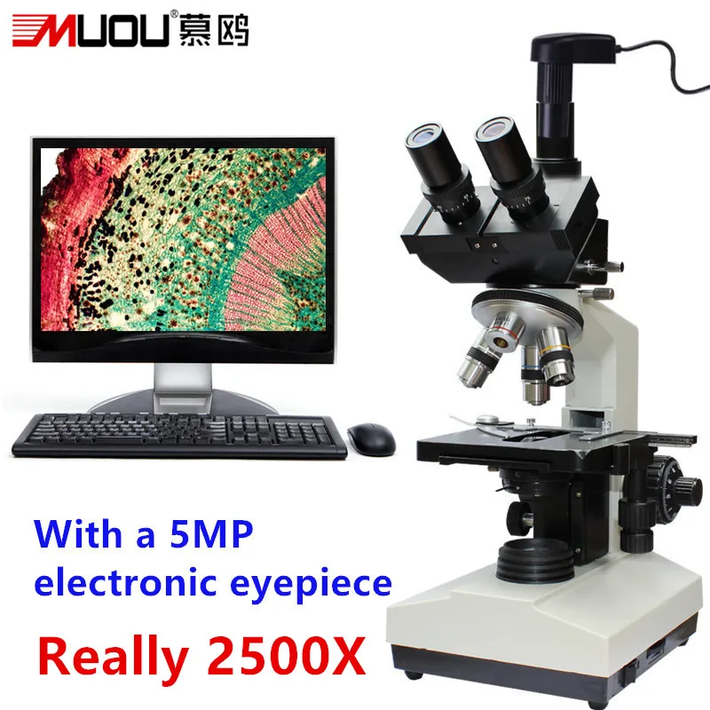 Высшее качество! 2500X + 5MP электронный окуляр лабораторный составной биологический