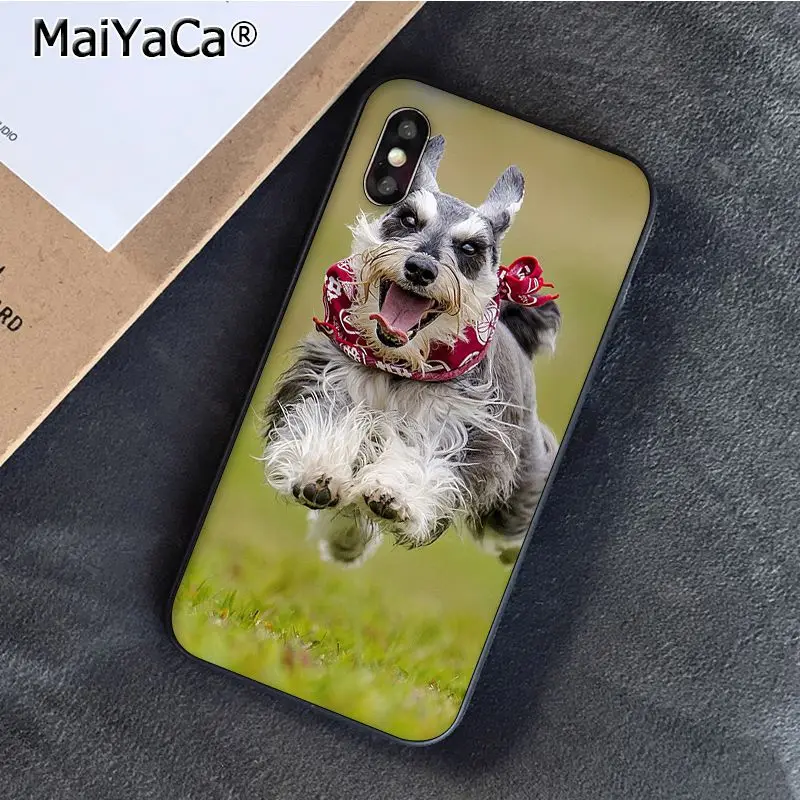 Lovely Dogs Schnauzer 