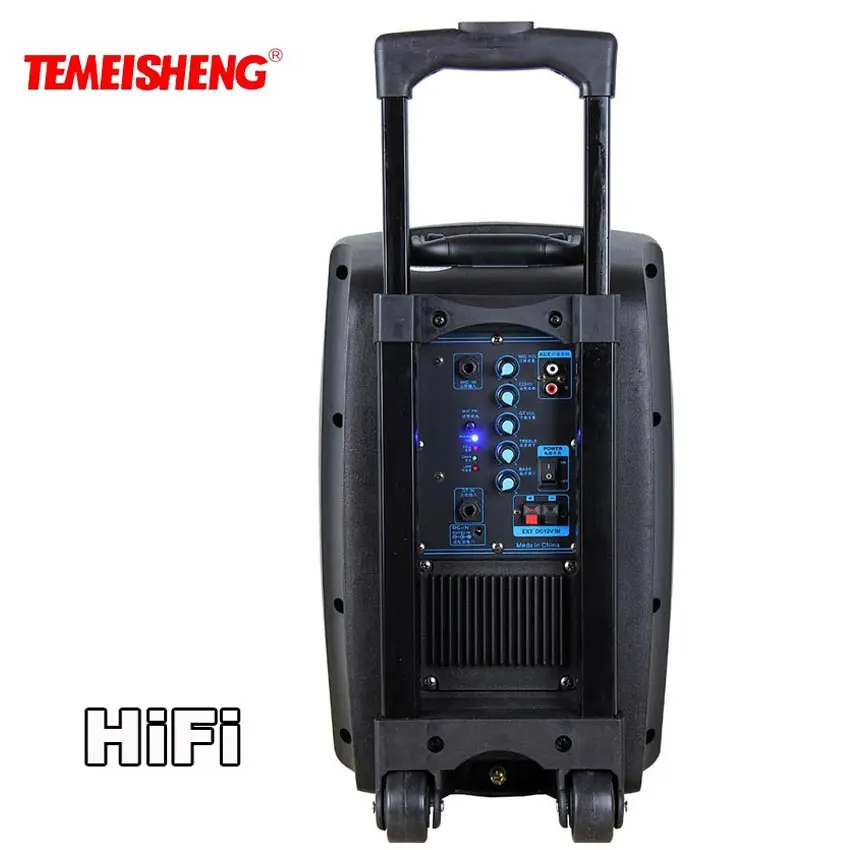 TEMEISHENG SL08 High Power Portable Loudspeaker