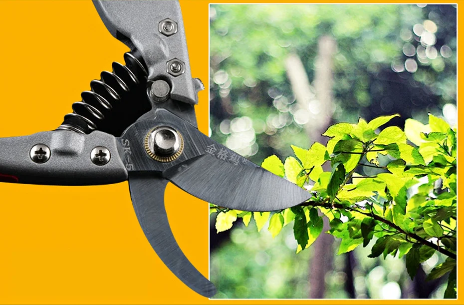Pruning Tools 3