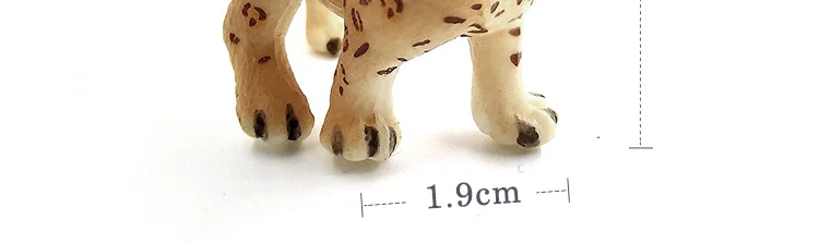 -11--DW-M-MY07_50