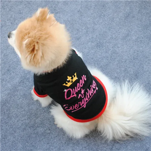 Черный буквенный принт королева собака жилет дышащий Весна и лето хлопковая футболка для маленькая собачка Тедди Bomei Пудель Топы