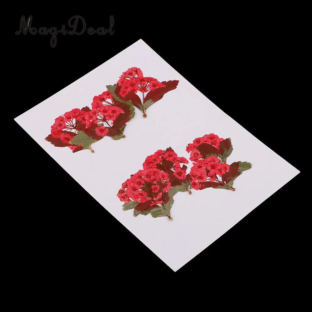 10pcs Red Flower Natural Real Pressed Dried Flower for Jewelry Making Handmade DIY Resin Ornament Crafts