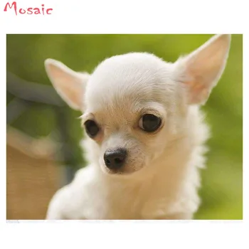 

Full Square Diamond Embroidery animal,Diamond Painting chihuahua dog Cross Stitch pet Needlework Diamond Mosaic wall painting