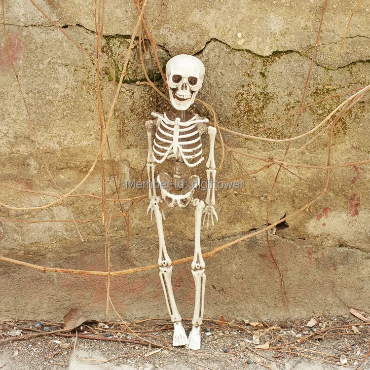 GB17007 16inches small skeleton.jpg