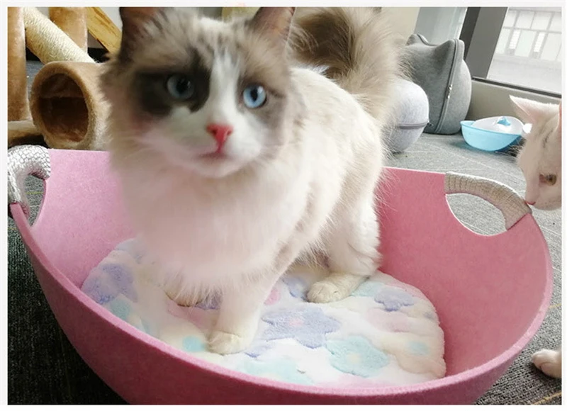 QQ20190321094638