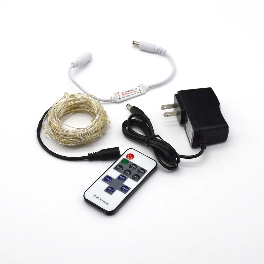 12V Decorative LED Lights 5m 10m Christmas Light With Remote and Power