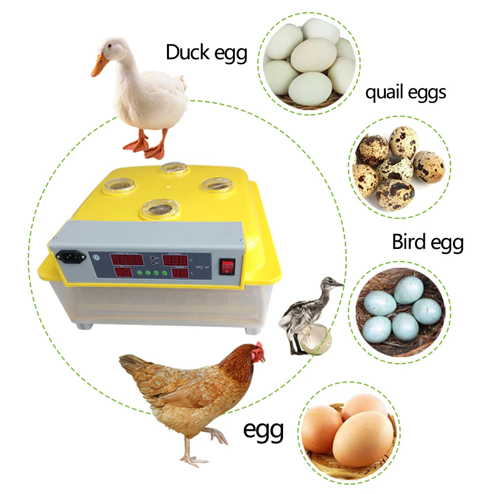ЕС AU складской запас 48 яиц инкубатор Птицы яйцо инкубатор Брудер CE утвержден ZZ-48