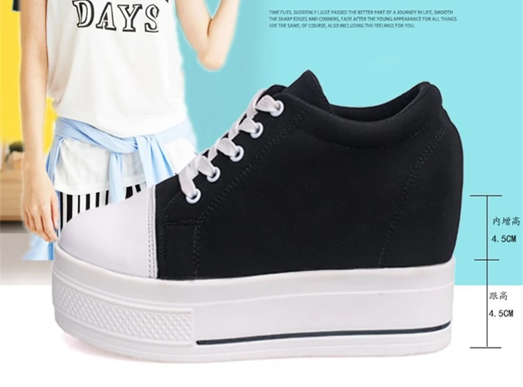 4310638196_1048653052