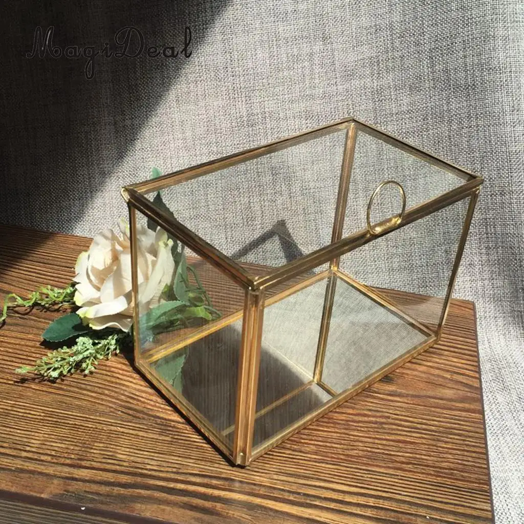 

MagiDeal Geometric Glass Jewelry Box Tabletop Succulent Plants Box 17 x 10 x 12cm