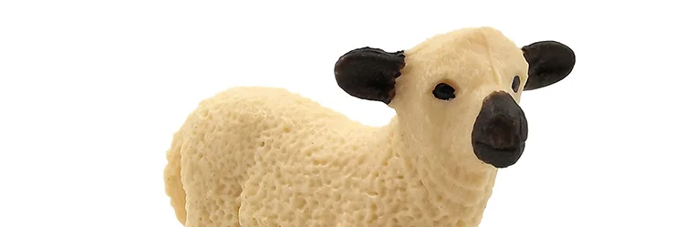 -10--DW-M-MY89-114-120_25