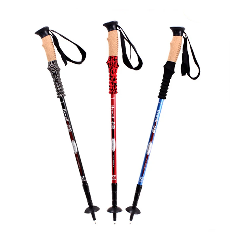 Outdoor Sticks for Nordic walking Folding Trekking pole Scandinavian