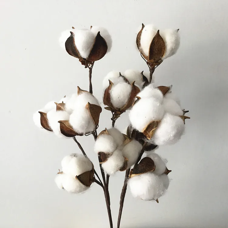 Flone 6 Head Dried Flower Cotton Branch Cotton Long Branch Simulation Cotton Tree Branch Home Wedding Decor Artificial Flowers (6)