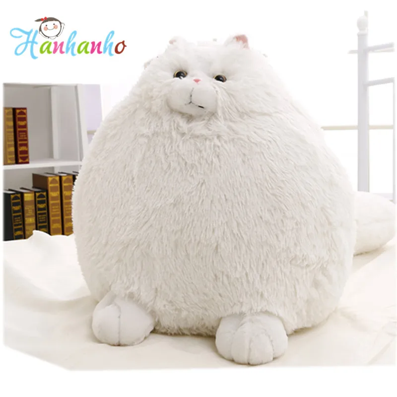 fluffy cat teddy