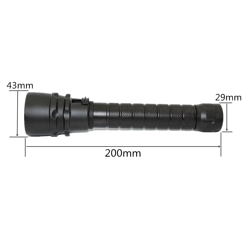 DL0005 (4)