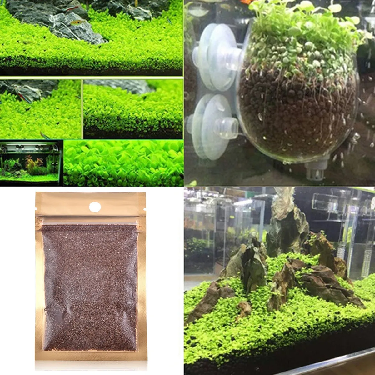 Mrosaa водный пейзаж двойной лист аквариума семян набор glossostigm elatinoides семена
