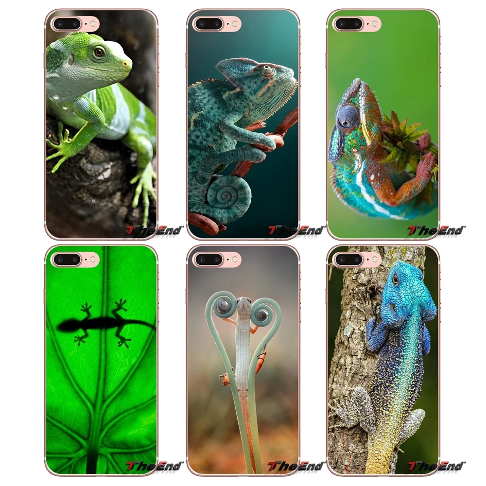 

For Apple iPhone X 4 4S 5 5S SE 5C 6 6S 7 8 Plus 6sPlus 6Plus 7plus 8plus Transparent Soft Cases Covers Green Gecko Lizard
