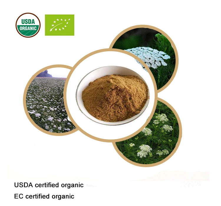 Сертифицированный USDA и EC органический экстракт Fructus Cnidii 20:1 остол|Товары для