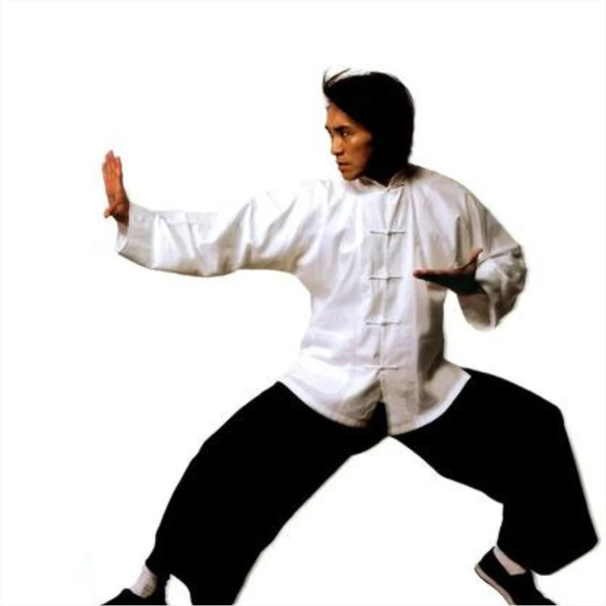 100Cotton Kung fu shirt male tang hanfu tops long sleeve tai chi