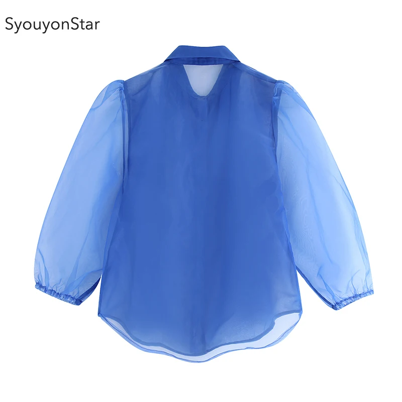 Голубая прозрачная сетчатая женская блузка с длинным рукавом souyonstar летняя