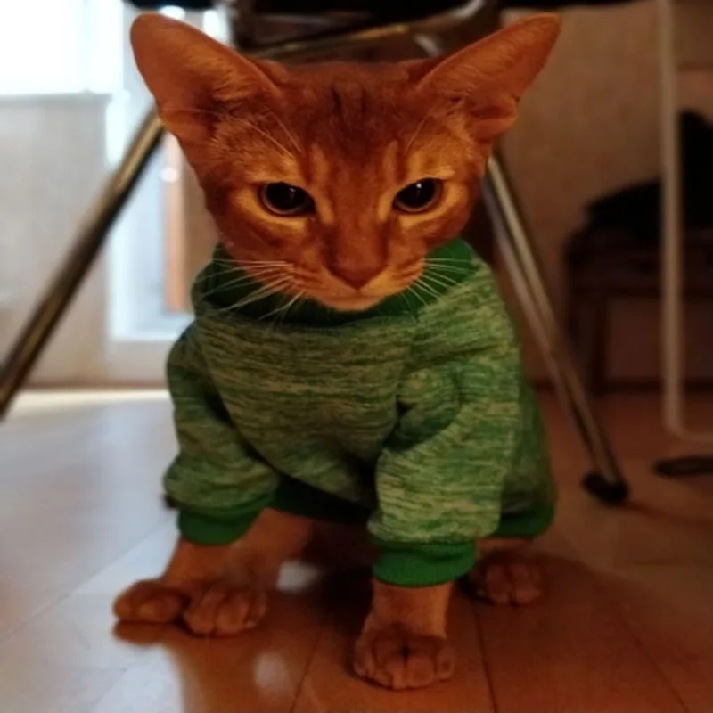 }6ON[H(N46`W709VX50P86I