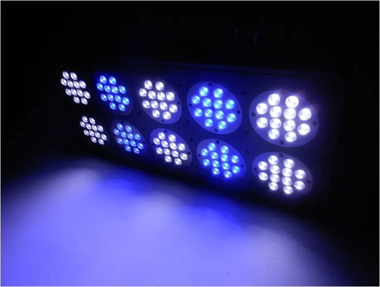 

Apollo 10 120*3W LED aquarium light full spectrum reef coral tank light 3W lens, White 12000k &Blue 460nm (Customizable)