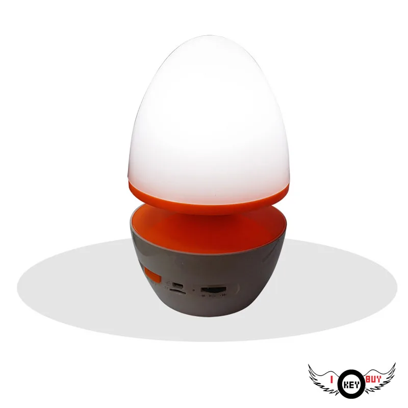 ELD lamp speaker1