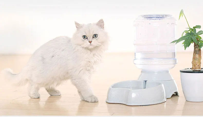 HOOPET Pet Dog Cat Трехцветная водяная чаша автоматическая подача воды большая емкость