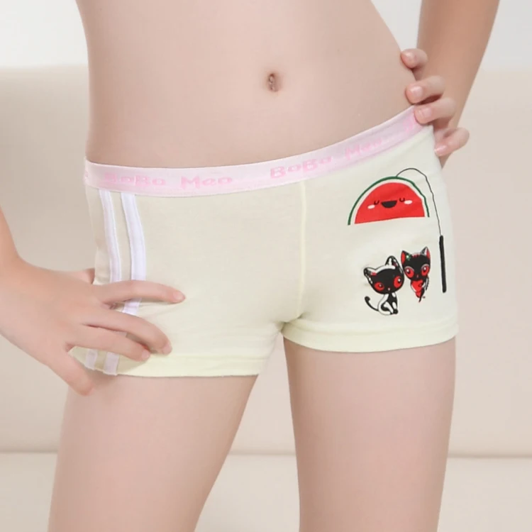 (6pcs/lot) AVA Underwear Soft Winter Cotton Young Girls Underwear Panties  Dora Kid Boxers Underpants Fit 5 - 14 Years M L XL XXL