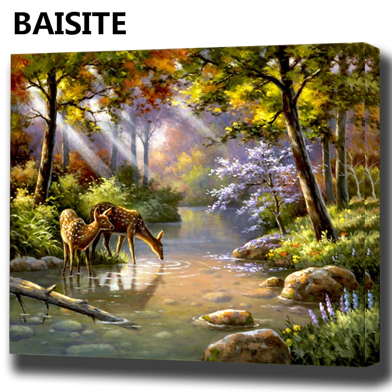 

BAISITE DIY Framed Oil Painting By Numbers Flowers Pictures Canvas Painting For Living Room Wall Art Home Decor E949