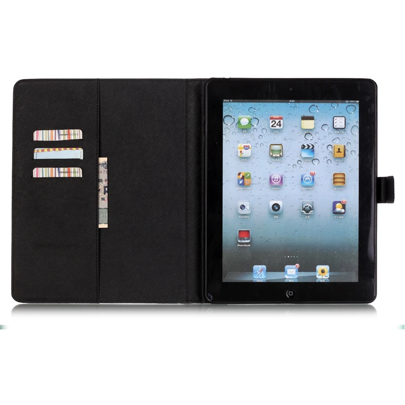 IPAD234-4 (2)