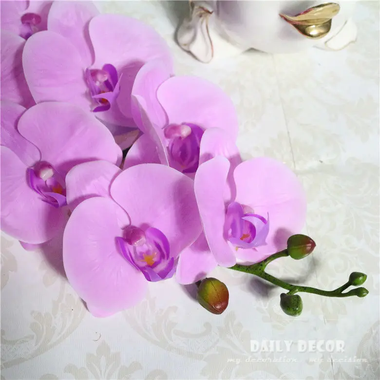 3445862077_356759457