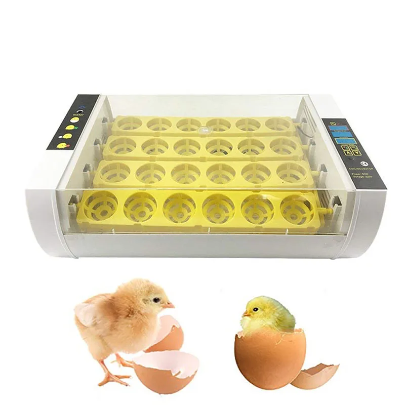 M.Z.A Incubador de huevos digital mini de 24 unidades con regulación automática de la temperatura para gallinas con bandeja para huevos enchufe europeo 
