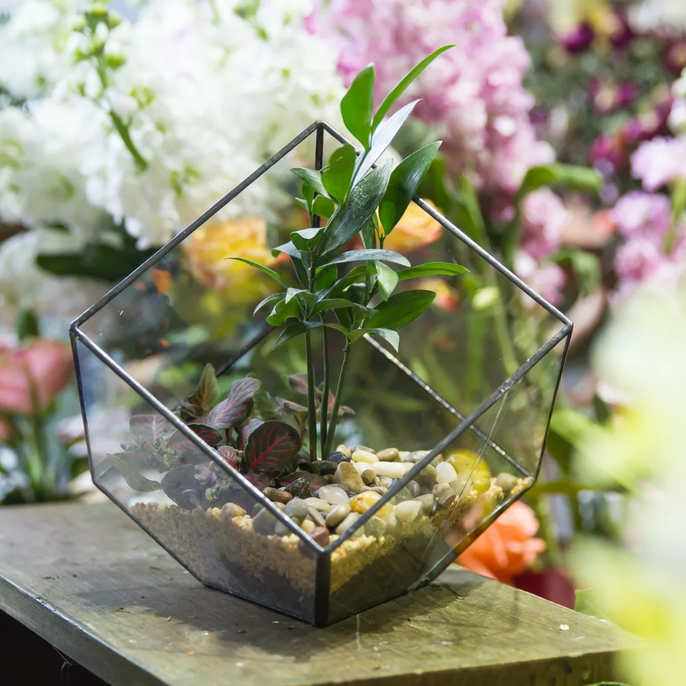 Modern Clear Plant Terrarium Vase Home Garden Decoration Container Glass Flower Pot Tabletop