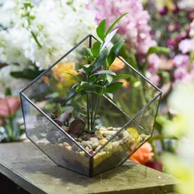 Polyhedron Glass Tabletop Geometric Terrarium Plants Decorative Flowerpots Succulent Moss Micro Landscape Bonsai Flower Pot DIY