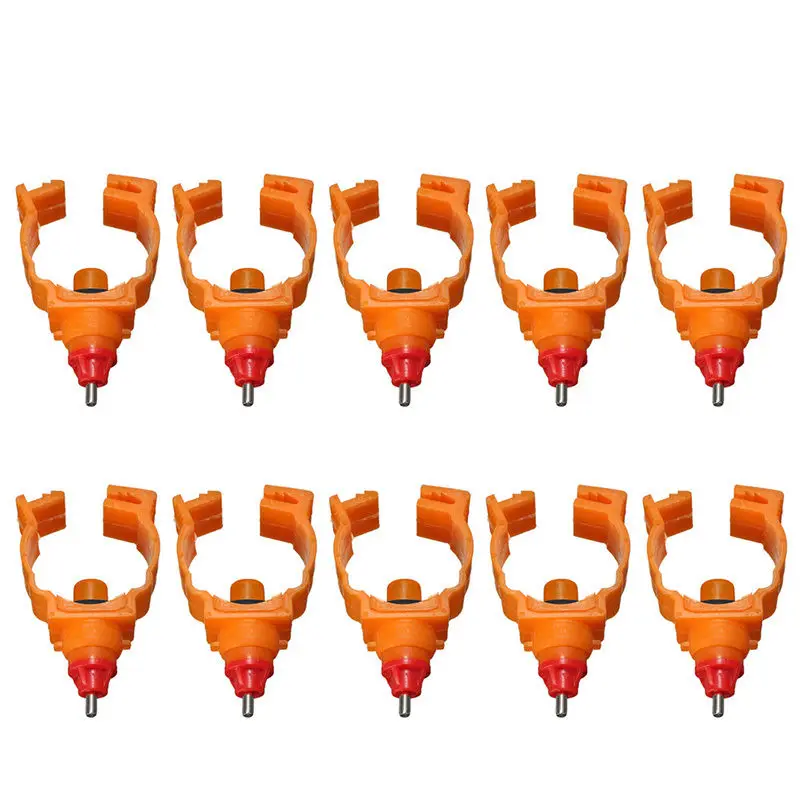 HTB1mJo2PFXXXXX4XXXXq6xXFXXXH